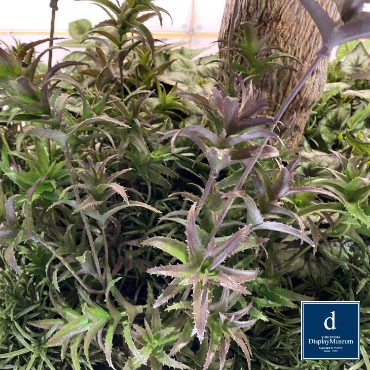 ���꡼�󥢥�󥸥��� (��å������ȥ顼��)210cm�ò��ͥǥ����ץ쥤�ߥ塼������ FBCD-5001 �����ƥ��ե�����륰�꡼�� ���꡼�󥢥�󥸥��� ¤�� �١����դ�