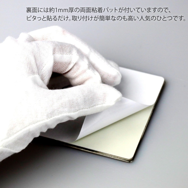 ZACK 50712 INDICI ɥZACKǥΥԥȥ(˽ѥȥɽ) HL [߸ͭ]