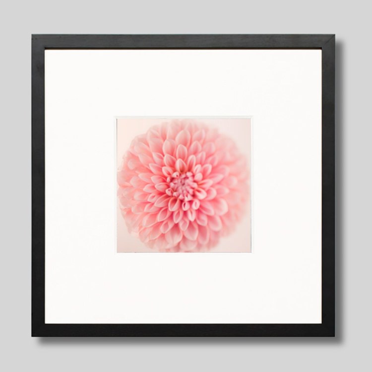 IGREBOW �֤μ̿� �ԥ󥯤Υ��ꥢ��[���å� 1��1] ��������ܥ� ����ƥꥢ�ե��� �ԥ����㡼������ �̿�