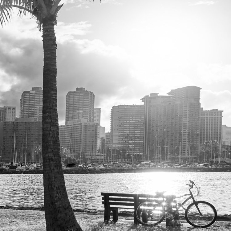 IGREBOW �ϥ磻 ��ī�Υ���⥢�ʥӡ��� �䥷���ڤȥ磻�����γ���[�»� 1��2] ��������ܥ� ����ƥꥢ�ե��� �ԥ����㡼������ �̿�