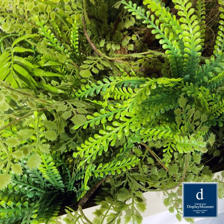 ꡼󥢥󥸥 (󥹥ƥ)200cmòͥǥץ쥤ߥ塼 FBCD-5002 ƥե륰꡼ ꡼󥢥󥸥 ¤ ١դ