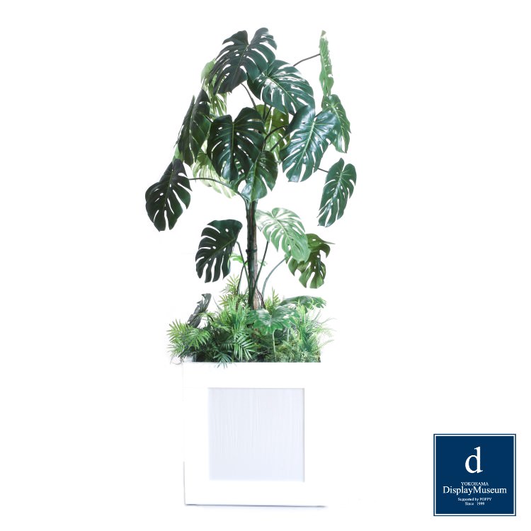 ꡼󥢥󥸥 (󥹥ƥ)200cmòͥǥץ쥤ߥ塼 FBCD-5002 ƥե륰꡼ ꡼󥢥󥸥 ¤ ١դ