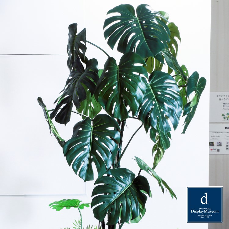 ꡼󥢥󥸥 (󥹥ƥ)200cmòͥǥץ쥤ߥ塼 FBCD-5002 ƥե륰꡼ ꡼󥢥󥸥 ¤ ١դ