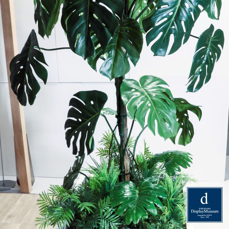 ꡼󥢥󥸥 (󥹥ƥ)200cmòͥǥץ쥤ߥ塼 FBCD-5002 ƥե륰꡼ ꡼󥢥󥸥 ¤ ١դ