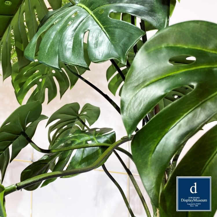 ꡼󥢥󥸥 (󥹥ƥ)200cmòͥǥץ쥤ߥ塼 FBCD-5002 ƥե륰꡼ ꡼󥢥󥸥 ¤ ١դ