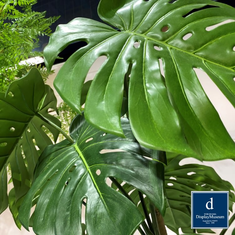 ꡼󥢥󥸥 (󥹥ƥ)200cmòͥǥץ쥤ߥ塼 FBCD-5002 ƥե륰꡼ ꡼󥢥󥸥 ¤ ١դ