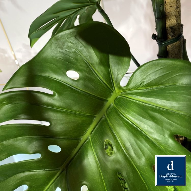 ꡼󥢥󥸥 (󥹥ƥ)200cmòͥǥץ쥤ߥ塼 FBCD-5002 ƥե륰꡼ ꡼󥢥󥸥 ¤ ١դ