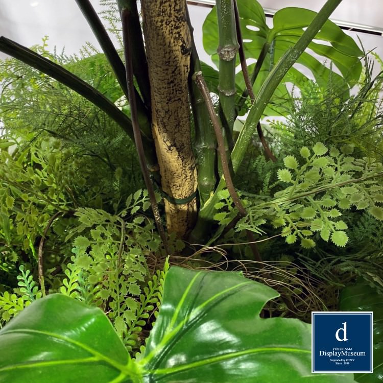 ꡼󥢥󥸥 (󥹥ƥ)200cmòͥǥץ쥤ߥ塼 FBCD-5002 ƥե륰꡼ ꡼󥢥󥸥 ¤ ١դ