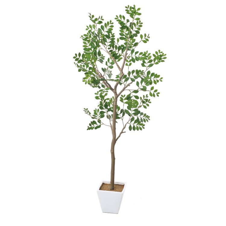 �ȥͥꥳ�ĥ꡼��GLA-1545 �����ƥ��ե�����륰�꡼�� �͹����տ�ʪ ȭ�դ����꡼��]