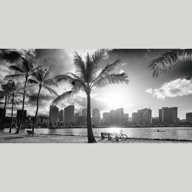 IGREBOW �ϥ磻 ��ī�Υ���⥢�ʥӡ��� �䥷���ڤȥ磻�����γ���[���å� 1��2] ��������ܥ� ����ƥꥢ�ե��� �ԥ����㡼������ �̿�