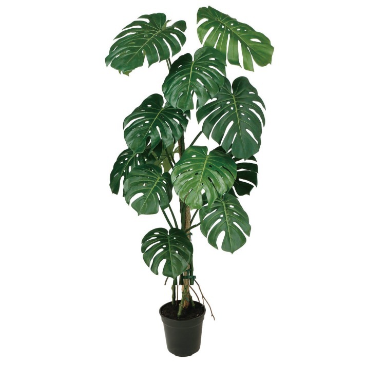 󥹥ƥХ W70H150cmTK99129 ƥե륰꡼ ͹տʪ ͹ ꡼