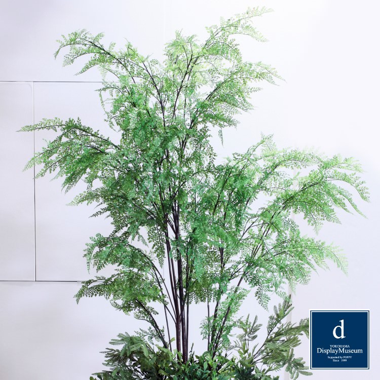 ���꡼�󥢥�󥸥��� (�ե�����ʥ����ϡ�)200cm�ò��ͥǥ����ץ쥤�ߥ塼������ FBCD-5003 �����ƥ��ե�����륰�꡼�� ���꡼�󥢥�󥸥��� ¤�� �١����դ�