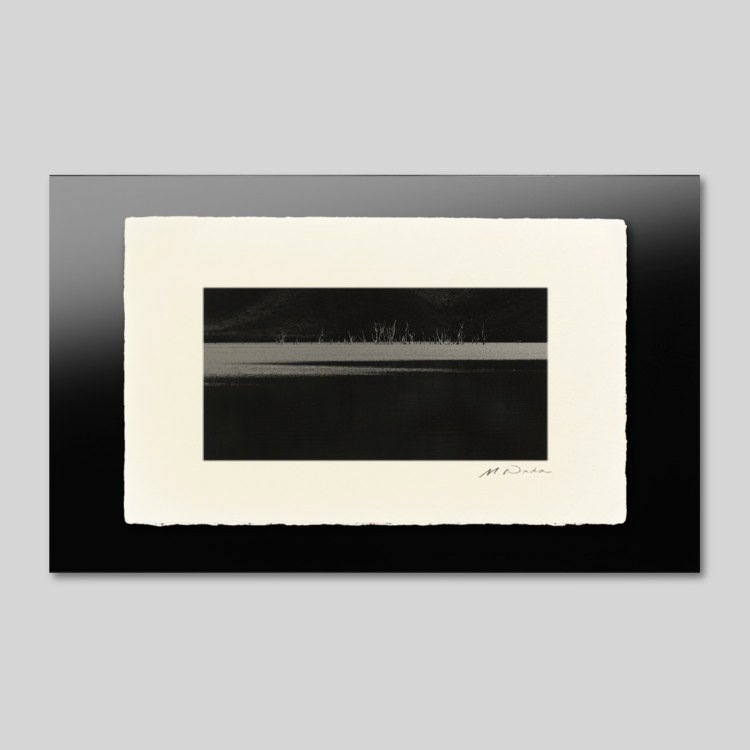 IGREBOW ˥塼ɥ˥ ФΥʼ̿[» 12] ܥ ƥꥢե ԥ㡼 ̿