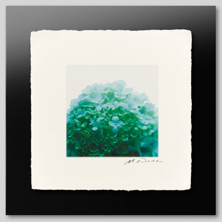 IGREBOW ����ɤ餰����������[�»� 1��1] ��������ܥ� ����ƥꥢ�ե��� �ԥ����㡼������ �̿�