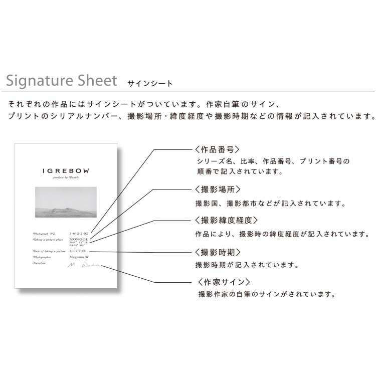 IGREBOW ϥ磻 ӡȥǯ[ 12] ܥ ƥꥢե ԥ㡼 ̿