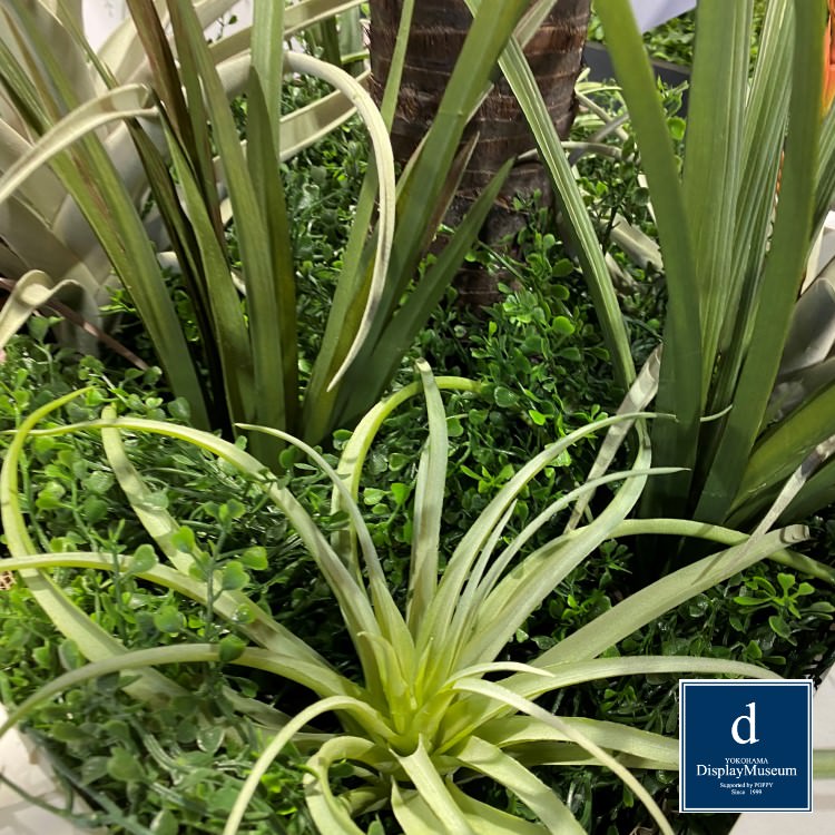 ꡼󥢥󥸥 ()200cmòͥǥץ쥤ߥ塼 FBCD-5004 ƥե륰꡼ ꡼󥢥󥸥 ¤ ١դ