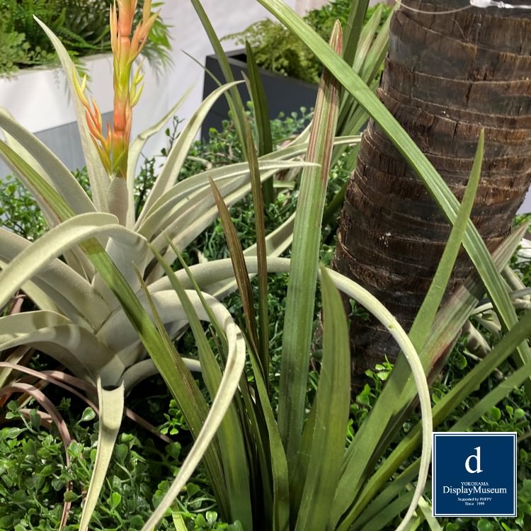 ꡼󥢥󥸥 ()200cmòͥǥץ쥤ߥ塼 FBCD-5004 ƥե륰꡼ ꡼󥢥󥸥 ¤ ١դ