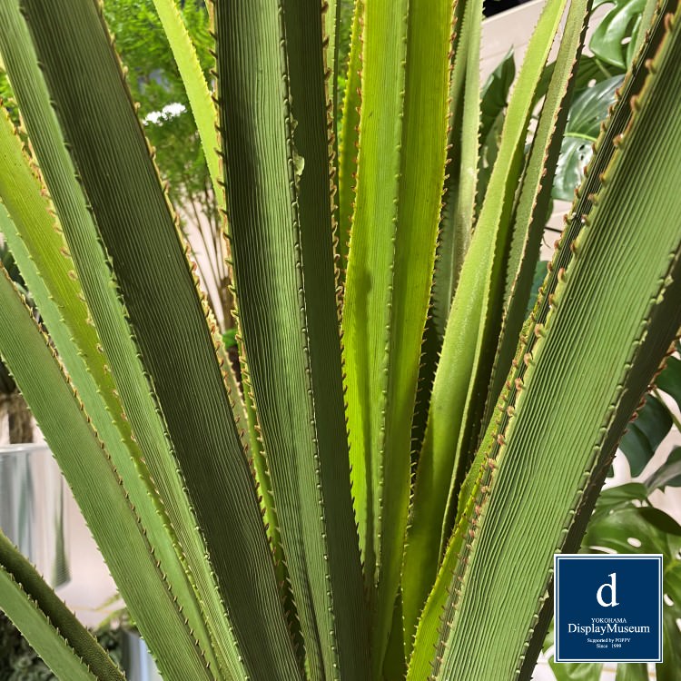 ꡼󥢥󥸥 ()200cmòͥǥץ쥤ߥ塼 FBCD-5004 ƥե륰꡼ ꡼󥢥󥸥 ¤ ١դ