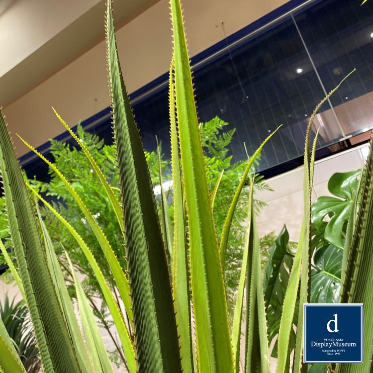 ꡼󥢥󥸥 ()200cmòͥǥץ쥤ߥ塼 FBCD-5004 ƥե륰꡼ ꡼󥢥󥸥 ¤ ١դ