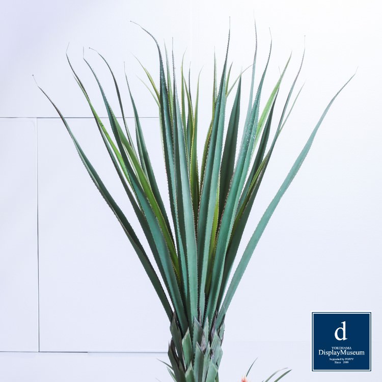 ꡼󥢥󥸥 ()200cmòͥǥץ쥤ߥ塼 FBCD-5004 ƥե륰꡼ ꡼󥢥󥸥 ¤ ١դ