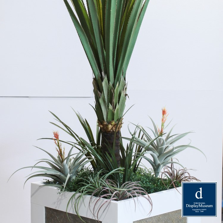 ꡼󥢥󥸥 ()200cmòͥǥץ쥤ߥ塼 FBCD-5004 ƥե륰꡼ ꡼󥢥󥸥 ¤ ١դ