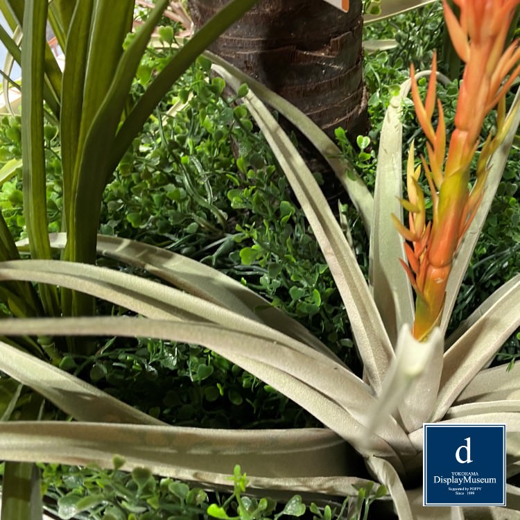 ꡼󥢥󥸥 ()200cmòͥǥץ쥤ߥ塼 FBCD-5004 ƥե륰꡼ ꡼󥢥󥸥 ¤ ١դ