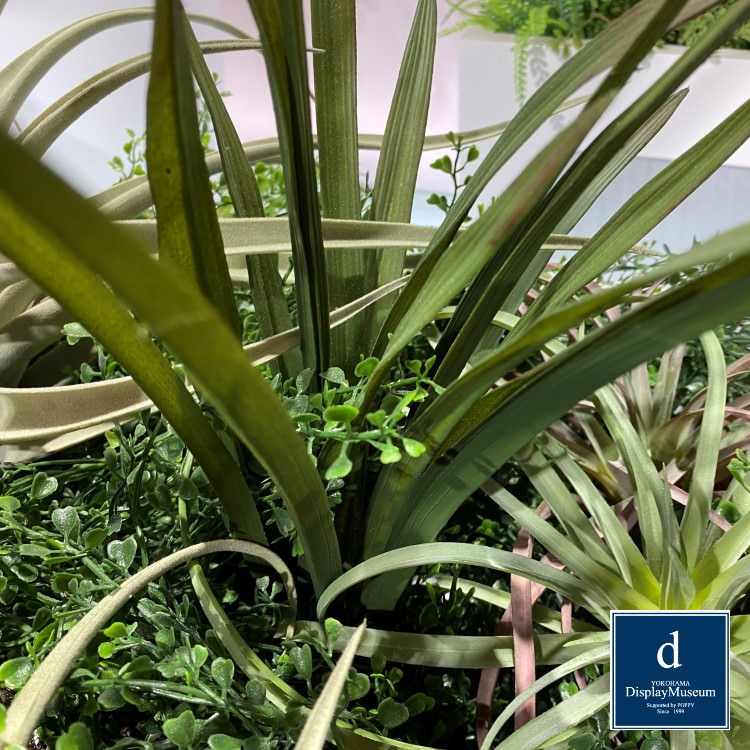 ꡼󥢥󥸥 ()200cmòͥǥץ쥤ߥ塼 FBCD-5004 ƥե륰꡼ ꡼󥢥󥸥 ¤ ١դ