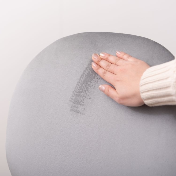 �٥���Ĵ������ ���졼����ë AZUMAYA ������ ��Ω�� �ǥ�����ե��˥��㡼 ����ƥꥢ �ȶ�