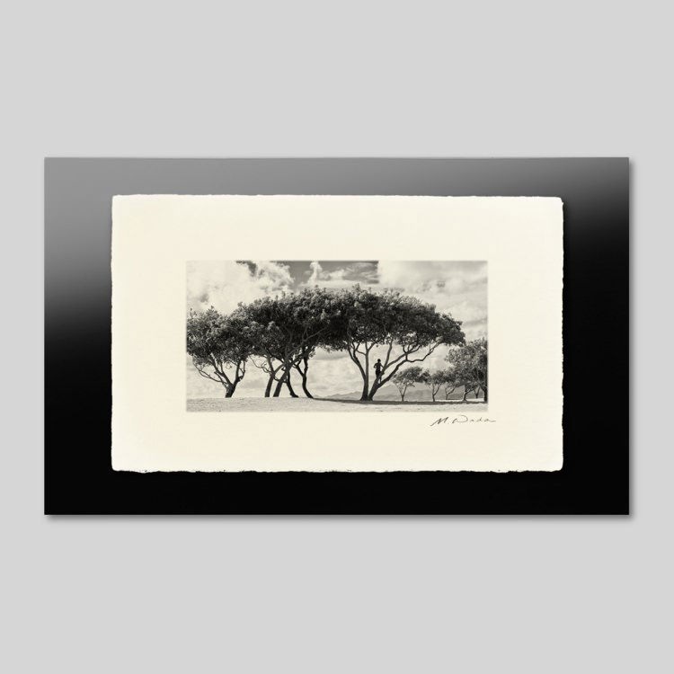 IGREBOW �ϥ磻 ���������ӡ����ȥ�������ǯ��[�»� 1��2] ��������ܥ� ����ƥꥢ�ե��� �ԥ����㡼������ �̿�