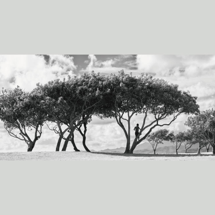 IGREBOW �ϥ磻 ���������ӡ����ȥ�������ǯ��[�»� 1��2] ��������ܥ� ����ƥꥢ�ե��� �ԥ����㡼������ �̿�