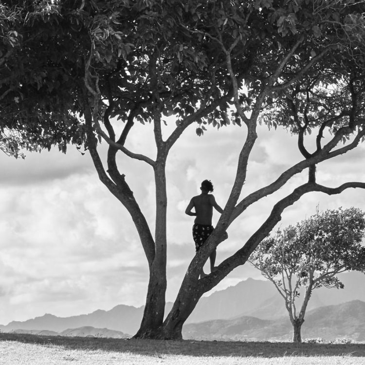 IGREBOW �ϥ磻 ���������ӡ����ȥ�������ǯ��[�»� 1��2] ��������ܥ� ����ƥꥢ�ե��� �ԥ����㡼������ �̿�