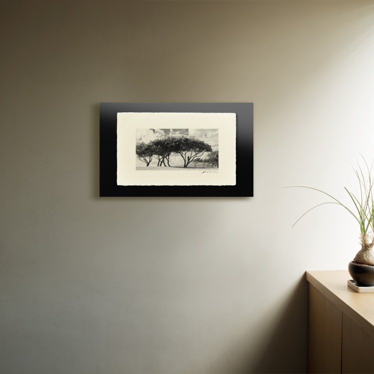 IGREBOW �ϥ磻 ���������ӡ����ȥ�������ǯ��[�»� 1��2] ��������ܥ� ����ƥꥢ�ե��� �ԥ����㡼������ �̿�