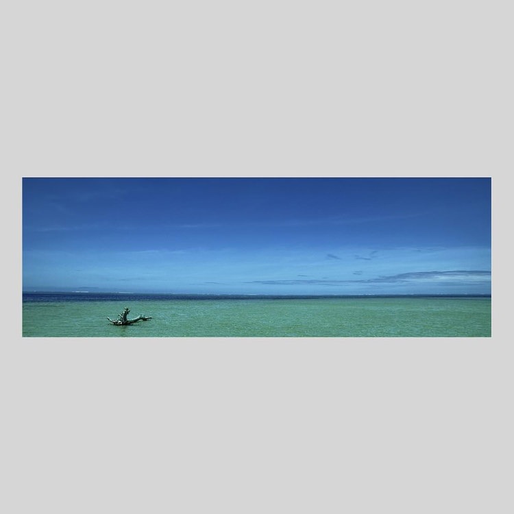 IGREBOW ˥塼ɥ˥ ǡݥ Υӡ1ܤήڡ[ 13] ܥ ƥꥢե ԥ㡼 ̿