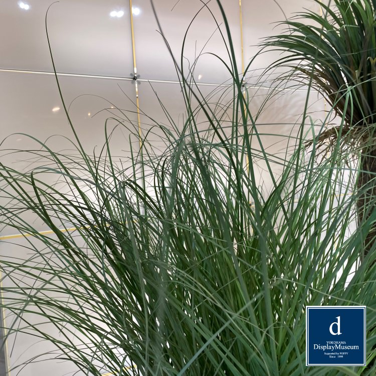 ���꡼�󥢥�󥸥��� (���饹)170cm�ò��ͥǥ����ץ쥤�ߥ塼������ FBCD-5005 �����ƥ��ե�����륰�꡼�� ���꡼�󥢥�󥸥��� ¤�� �١����դ�