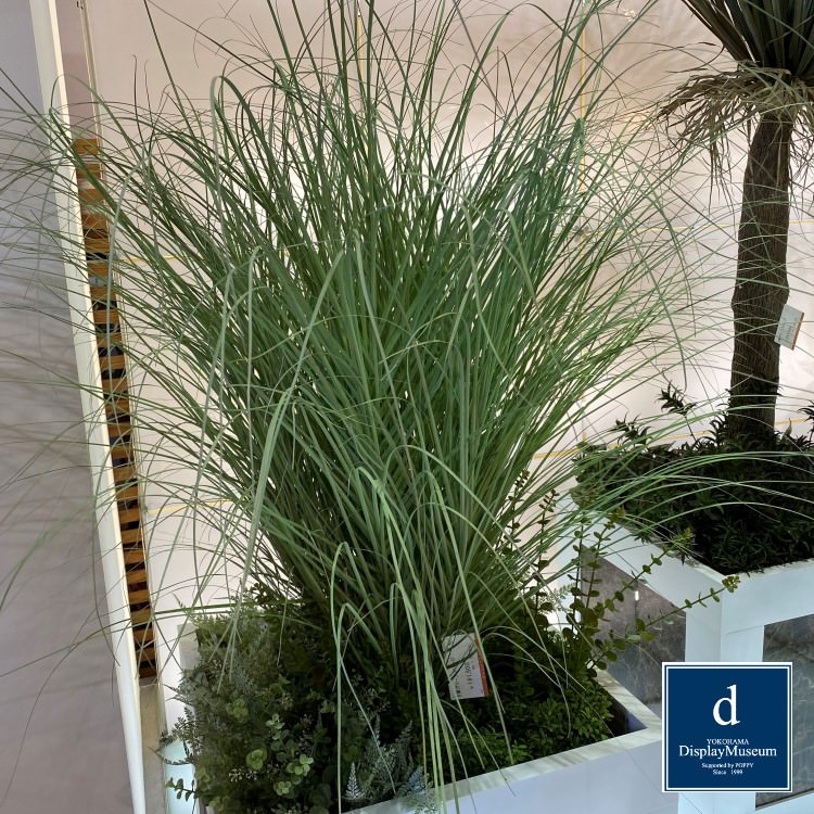 ���꡼�󥢥�󥸥��� (���饹)170cm�ò��ͥǥ����ץ쥤�ߥ塼������ FBCD-5005 �����ƥ��ե�����륰�꡼�� ���꡼�󥢥�󥸥��� ¤�� �١����դ�