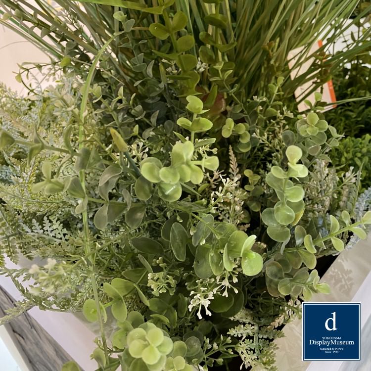 ���꡼�󥢥�󥸥��� (���饹)170cm�ò��ͥǥ����ץ쥤�ߥ塼������ FBCD-5005 �����ƥ��ե�����륰�꡼�� ���꡼�󥢥�󥸥��� ¤�� �١����դ�