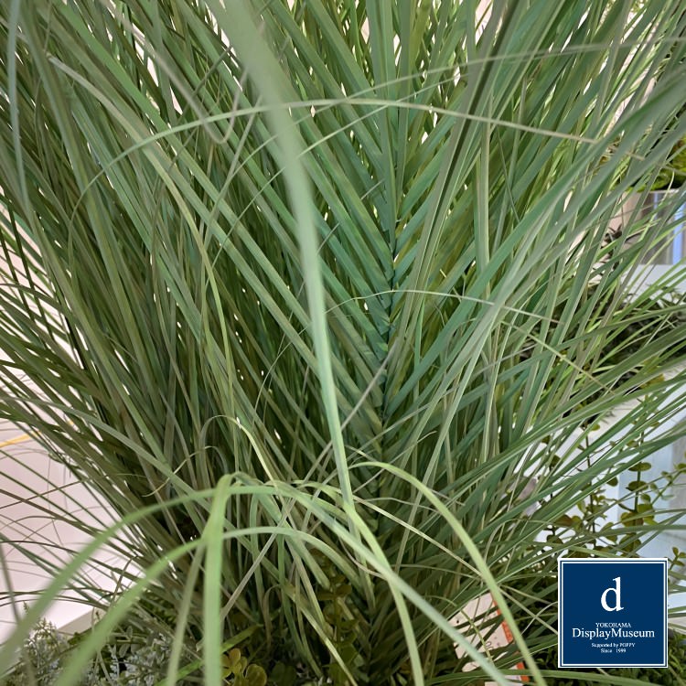 ���꡼�󥢥�󥸥��� (���饹)170cm�ò��ͥǥ����ץ쥤�ߥ塼������ FBCD-5005 �����ƥ��ե�����륰�꡼�� ���꡼�󥢥�󥸥��� ¤�� �١����դ�