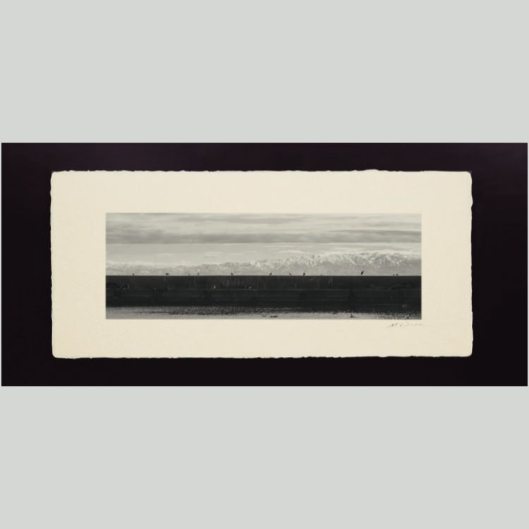 IGREBOW  ǽ ΥΩϢ[» 13] ܥ ƥꥢե ԥ㡼 ̿