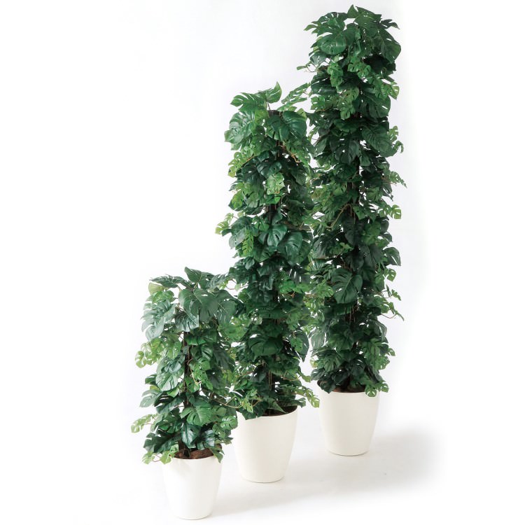 �ҥ��󥹥ƥ�إ�-DX W35��H150cm��TK91308 �����ƥ��ե�����륰�꡼�� �͹����տ�ʪ �͹����� ȭ�դ����꡼��