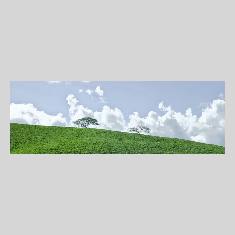 IGREBOW ˥塼ɥ˥ ɥơ 𸶤ʡ[ 13] ܥ ƥꥢե ԥ㡼 ̿