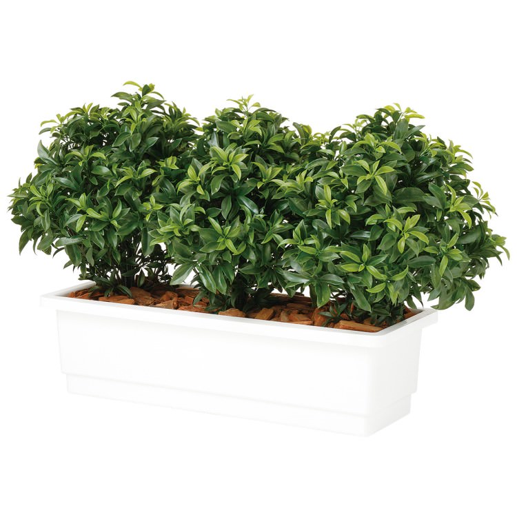 �٥��꡼�� �ѡ��ơ������ W110��D45��H65cm��TK99144 �����ƥ��ե�����륰�꡼�� �͹����տ�ʪ �͹����� ȭ�դ����꡼��