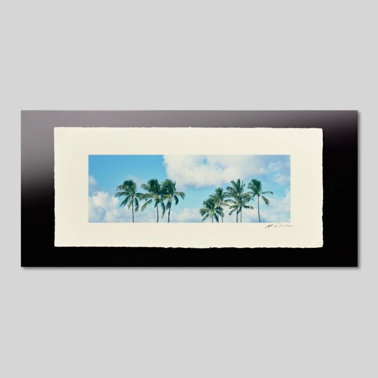 IGREBOW �ϥ磻 �Ķ��˥䥷���ڡ�[�»� 1��3] ��������ܥ� ����ƥꥢ�ե��� �ԥ����㡼������ �̿�