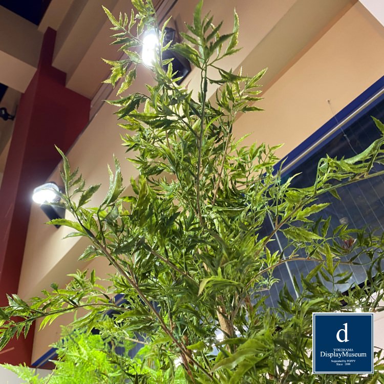 ���꡼�󥢥�󥸥��� (�ɥ�����)230cm�ò��ͥǥ����ץ쥤�ߥ塼������ FBCD-5008 �����ƥ��ե�����륰�꡼�� ���꡼�󥢥�󥸥��� ¤�� �١����դ�