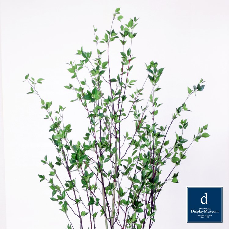 ���꡼�󥢥�󥸥��� (�ɥ�����)230cm�ò��ͥǥ����ץ쥤�ߥ塼������ FBCD-5008 �����ƥ��ե�����륰�꡼�� ���꡼�󥢥�󥸥��� ¤�� �١����դ�