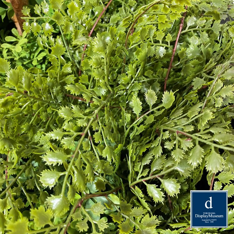 ���꡼�󥢥�󥸥��� (�ɥ�����)230cm�ò��ͥǥ����ץ쥤�ߥ塼������ FBCD-5008 �����ƥ��ե�����륰�꡼�� ���꡼�󥢥�󥸥��� ¤�� �١����դ�