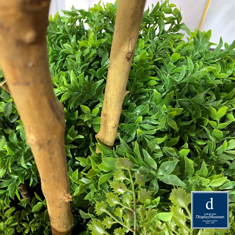 ���꡼�󥢥�󥸥��� (�ɥ�����)230cm�ò��ͥǥ����ץ쥤�ߥ塼������ FBCD-5008 �����ƥ��ե�����륰�꡼�� ���꡼�󥢥�󥸥��� ¤�� �١����դ�