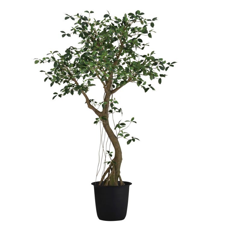 ガジュマルコアッド2.3m｜GLPT-229 アーティフィシャルグリーン 人工