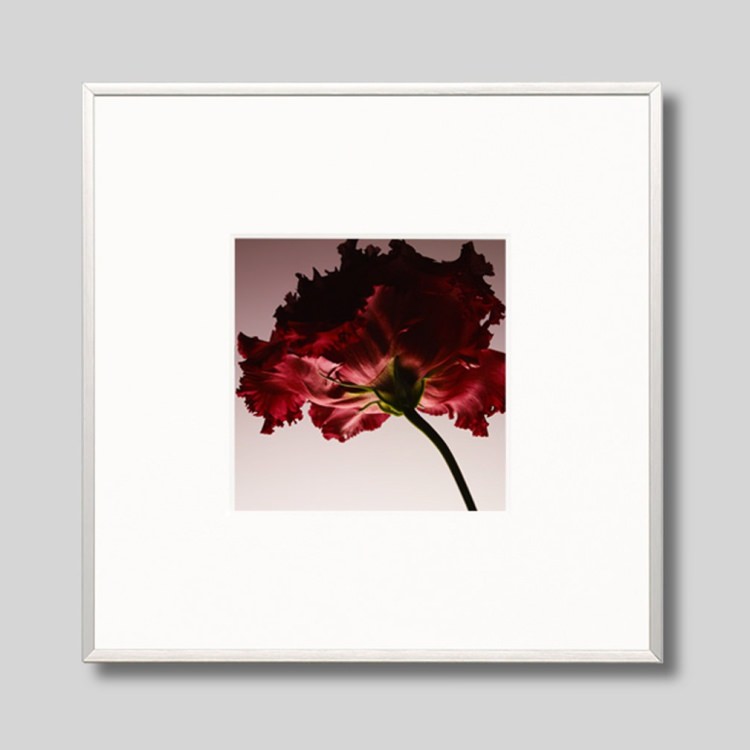 IGREBOW �֤��ȥ륳�����祦��[����� 1��1] ��������ܥ� ����ƥꥢ�ե��� �ԥ����㡼������ �̿�