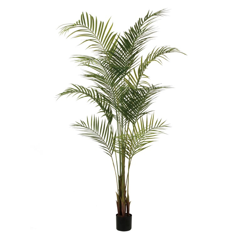 ���쥫�䥷 PE W100��H190cm��TK99155 �����ƥ��ե�����륰�꡼�� �͹����տ�ʪ �͹����� ���꡼��