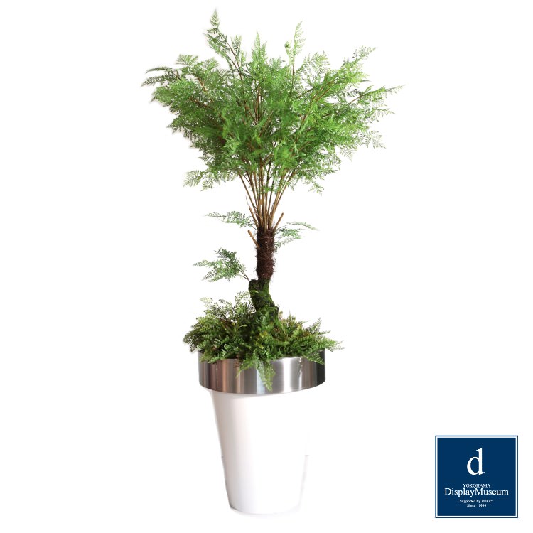 ���꡼�󥢥�󥸥��� (�ե�����ʥ����ϡ�)270cm�ò��ͥǥ����ץ쥤�ߥ塼������ FBCD-5009 �����ƥ��ե�����륰�꡼�� ���꡼�󥢥�󥸥��� ¤�� �١����դ�